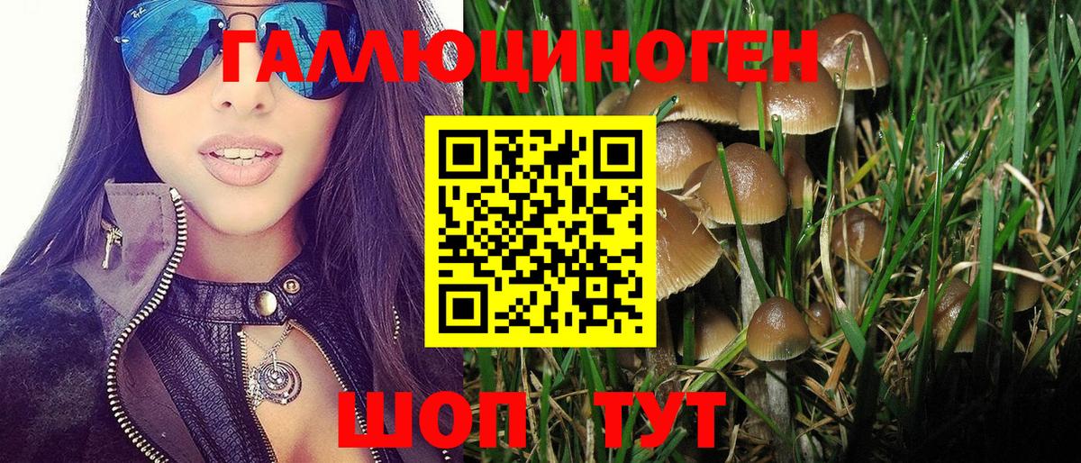 Галлюциногенные грибы мицелий Амурск
