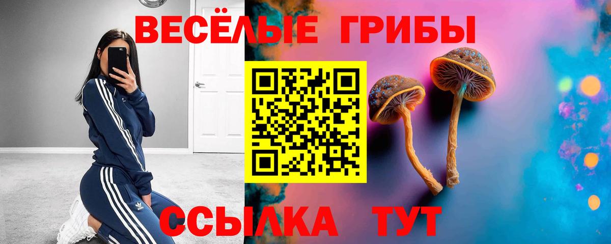 Галлюциногенные грибы GOLDEN TEACHER  Вход с VPN  Амурск 
